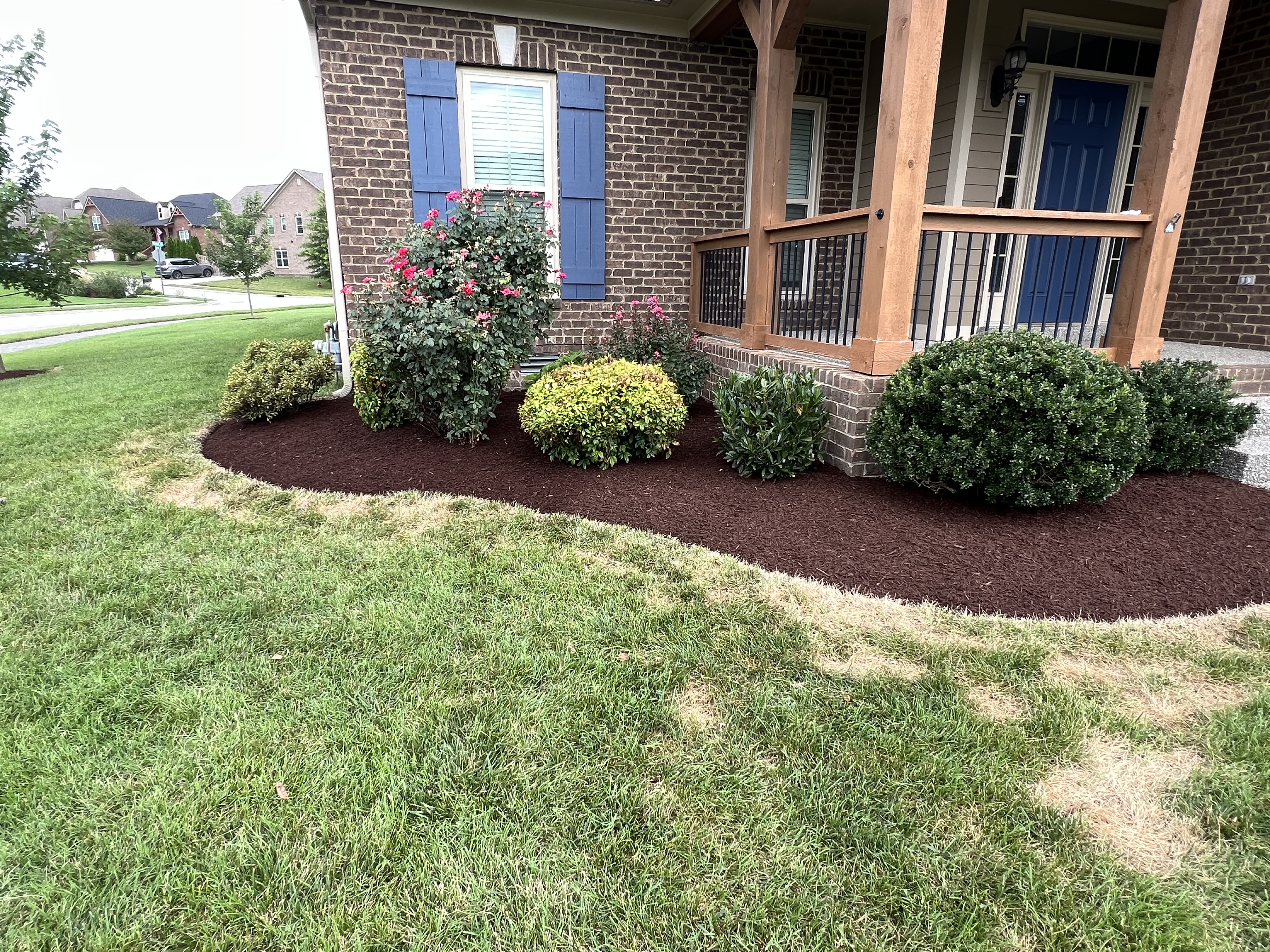 Lawn care project