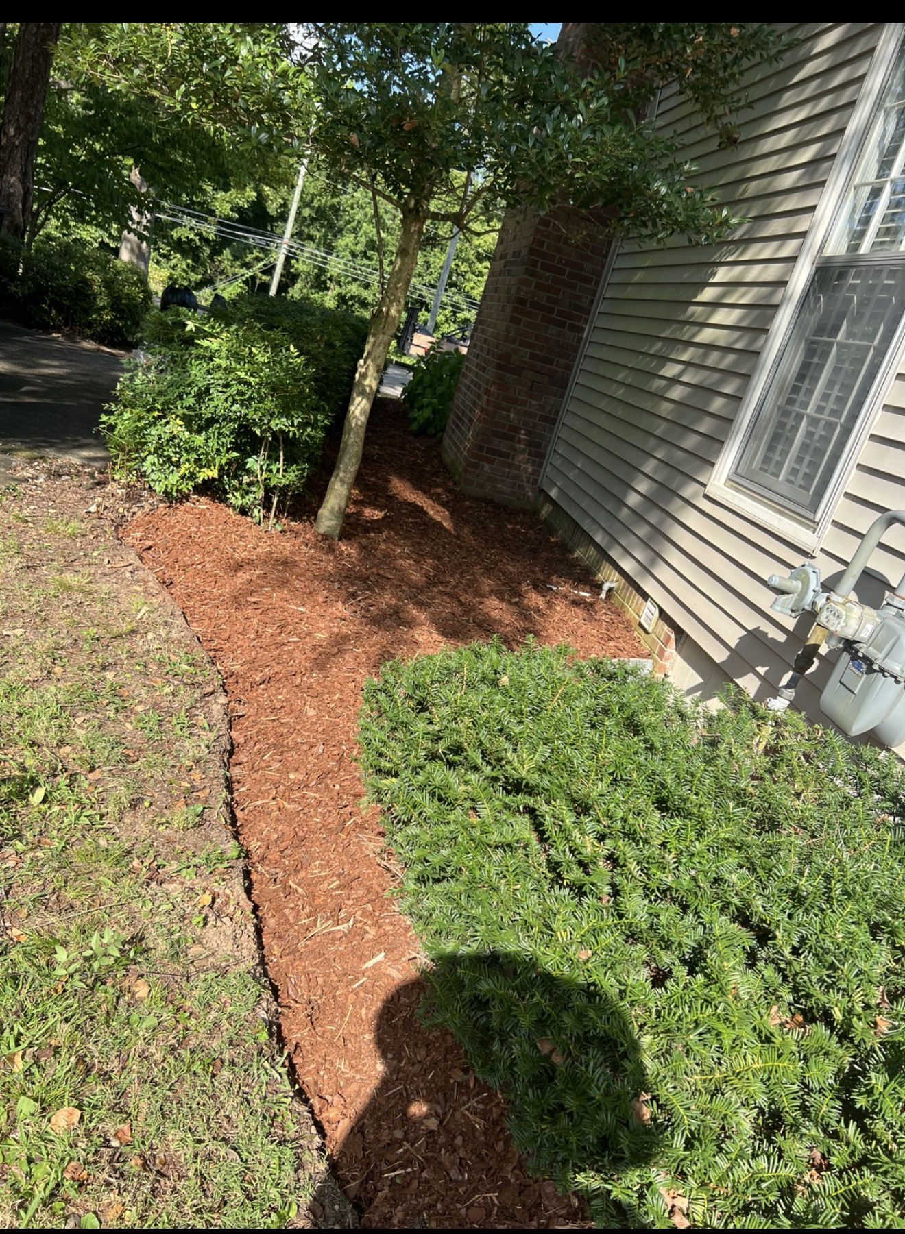 Landscaping project